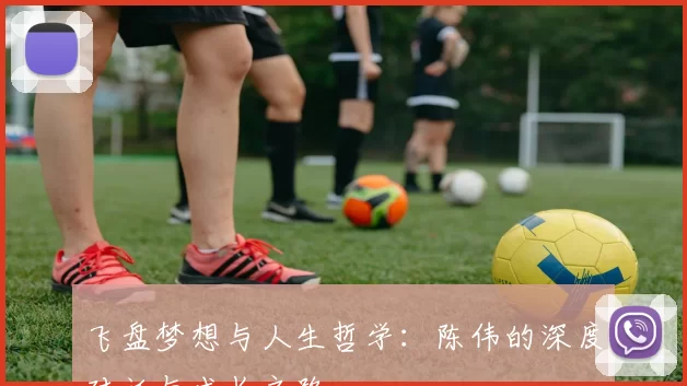 飞盘梦想与人生哲学：陈伟的深度对话与成长之路