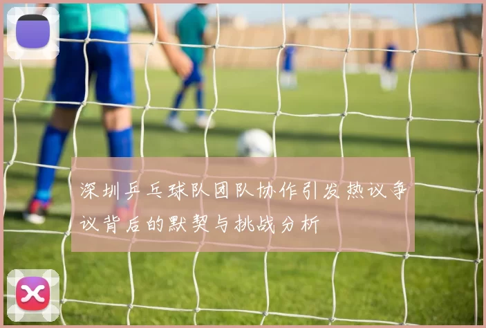 深圳乒乓球队团队协作引发热议争议背后的默契与挑战分析