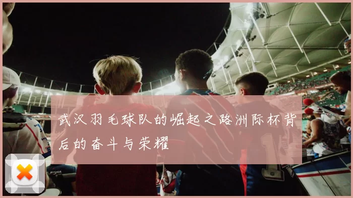 武汉羽毛球队的崛起之路洲际杯背后的奋斗与荣耀
