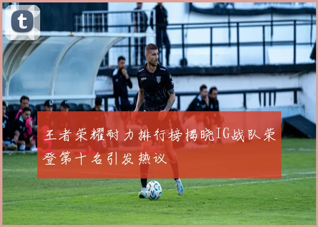 王者荣耀耐力排行榜揭晓IG战队荣登第十名引发热议