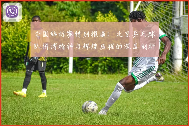 全国锦标赛特别报道：北京乒乓球队拼搏精神与辉煌历程的深度剖析