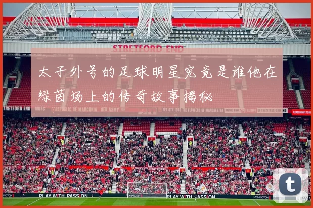 太子外号的足球明星究竟是谁他在绿茵场上的传奇故事揭秘