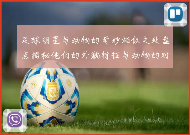 足球明星与动物的奇妙相似之处盘点揭秘他们的外貌特征与动物的对比