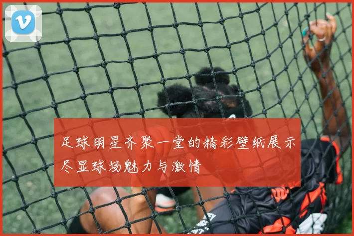 足球明星齐聚一堂的精彩壁纸展示尽显球场魅力与激情