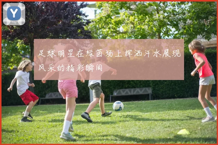 足球明星在绿茵场上挥洒汗水展现风采的精彩瞬间