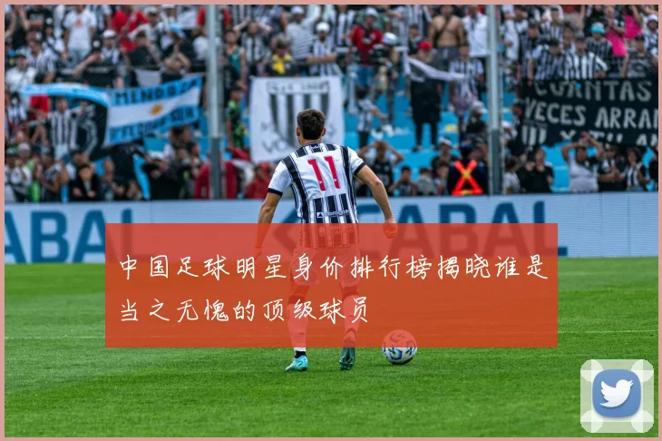 中国足球明星身价排行榜揭晓谁是当之无愧的顶级球员