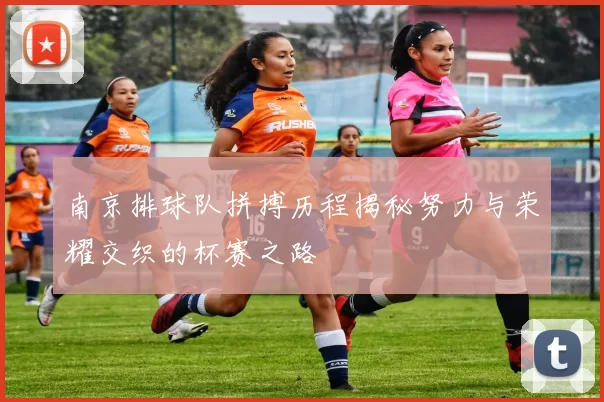 南京排球队拼搏历程揭秘努力与荣耀交织的杯赛之路