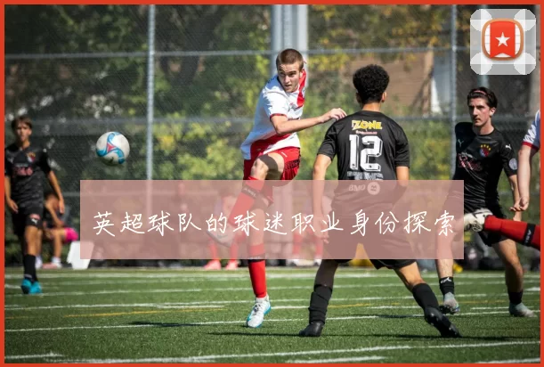 英超球队的球迷职业身份探索