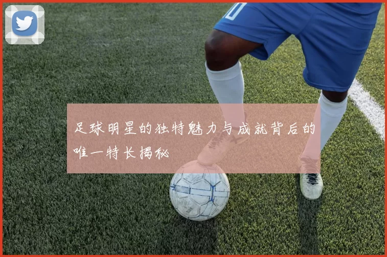 足球明星的独特魅力与成就背后的唯一特长揭秘