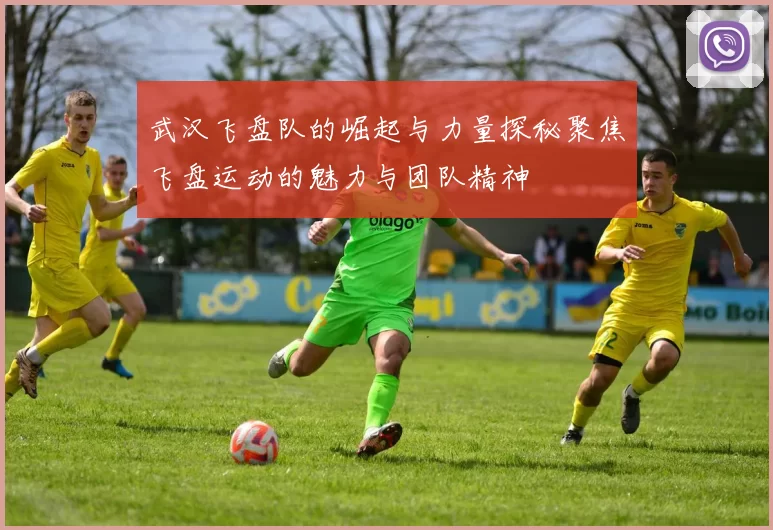 武汉飞盘队的崛起与力量探秘聚焦飞盘运动的魅力与团队精神