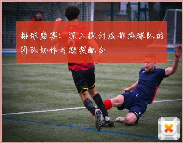排球盛宴：深入探讨成都排球队的团队协作与默契配合