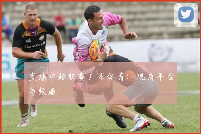直播中超联赛广东体育：观看平台与频道