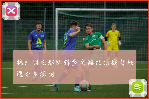 杭州羽毛球队转型之路的挑战与机遇全景探讨