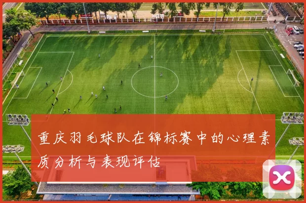 重庆羽毛球队在锦标赛中的心理素质分析与表现评估