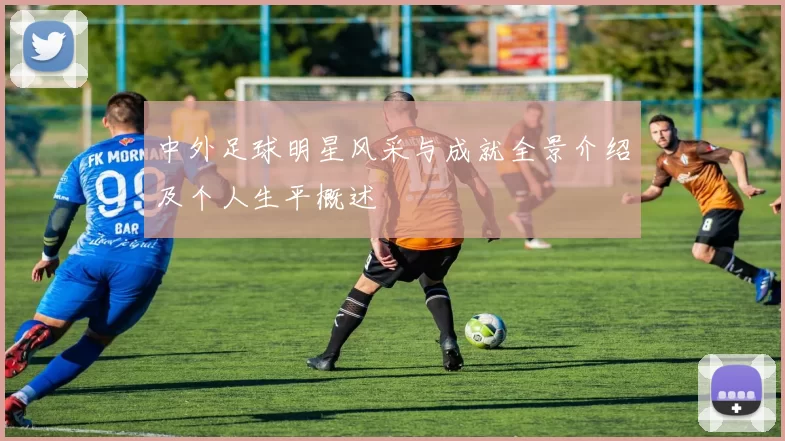 中外足球明星风采与成就全景介绍及个人生平概述