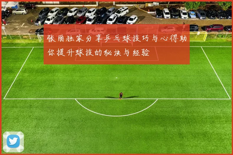 张丽独家分享乒乓球技巧与心得助你提升球技的秘诀与经验