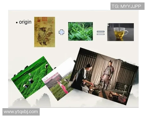 重庆滑板队的意识变革与城市文化的碰撞与融合探讨