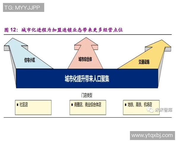 北京排球队运营分析：成功经验与失误教训的深度剖析