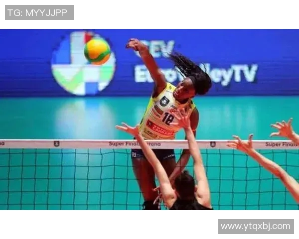 武汉排球队的蜕变与成长：一段排球精神的纪实之旅