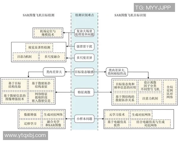 深圳飞盘队防反战术革新探索与实践的深度分析与展望