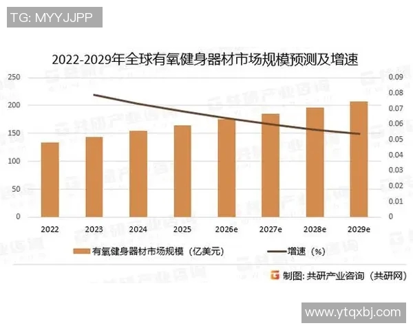 进口健身器材价格与选择：高端设备市场分析
